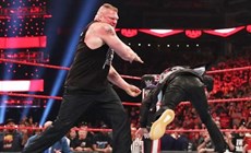 《强者生存》WWE冠军赛，大布连被两次掏裆，多米尼克首秀！