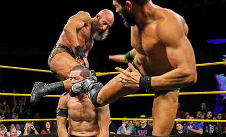 WWE《达斯汀·罗兹双打经典锦标赛2020》明星阵容公布！