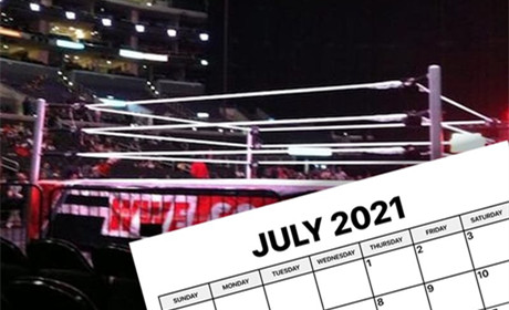 重磅消息！WWE回归巡演模式的准确月份曝光！
