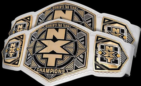 WWE正式推出NXT女子双打冠军，当天就发生冠军易手！