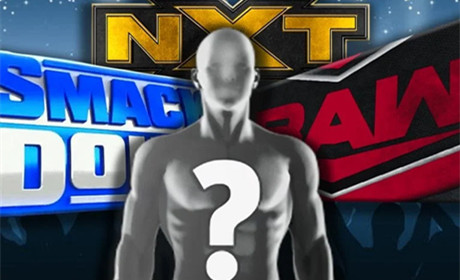 WWE《NXT接管大赛：待命交付》之后，两位巨星有望进入主秀！
