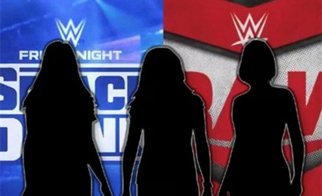 WWE有计划组建一支全女性的军团组合，如今遭遇变故！