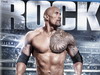 WWE The Epic Journey Of Dwayne The Rock Johnson比赛专辑