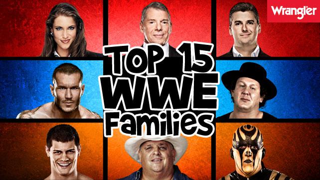 WWE史上最伟大家族TOP 15