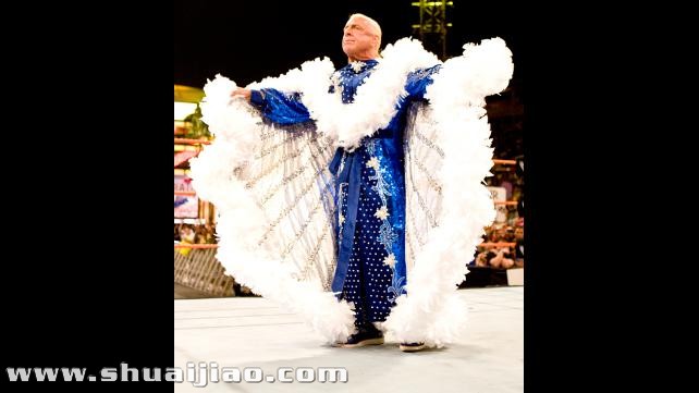 WWE 20大完美服饰