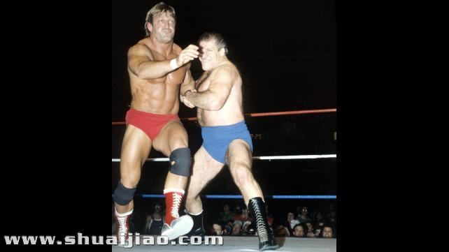 国际性WWE中的世界重量级冠军