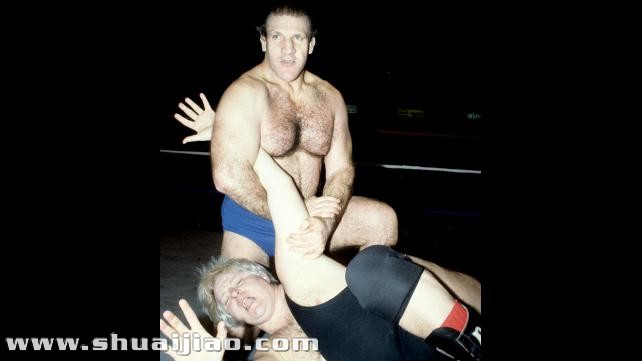 国际性WWE中的世界重量级冠军