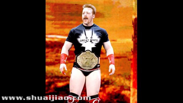 国际性WWE中的世界重量级冠军