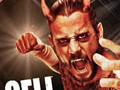 Hell In A Cell 2012比赛视频（英文）