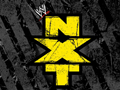 NXT 2012.08.30比赛视频