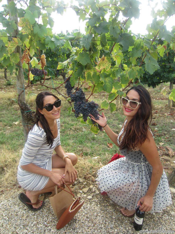 贝拉姐妹在意大利婚礼现场照