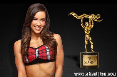 WWE 2012 Slammy奖项获得者完整名单
