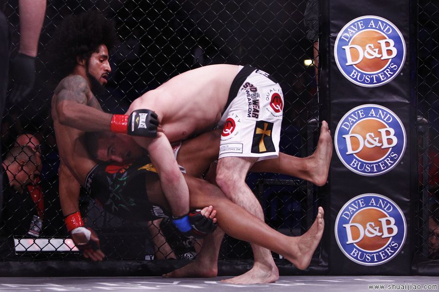 Bellator 85比赛图片