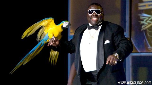 擂台十大野生动物伴侣