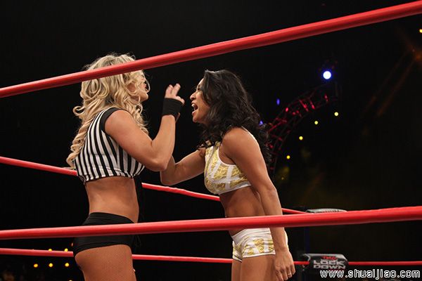 Lockdown 2013 完整比赛图片