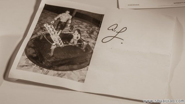 摔角狂热29日记：AJ·李日常生活（4） 