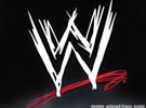WWE摔角狂热期间查处盗版商品