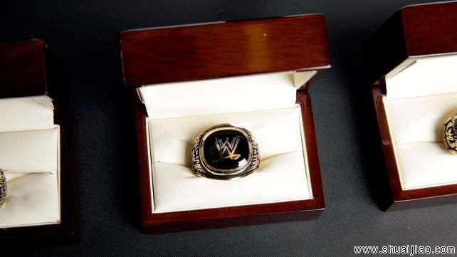 2013年WWE名人堂幕后照