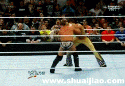 范丹戈常用技动态图