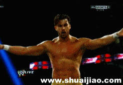 范丹戈常用技动态图