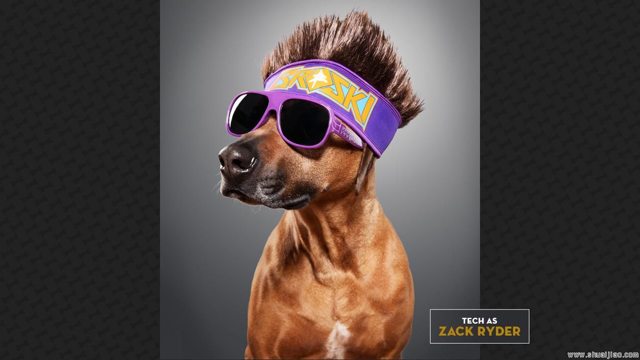 WWE超级巨星“宠物COS秀”