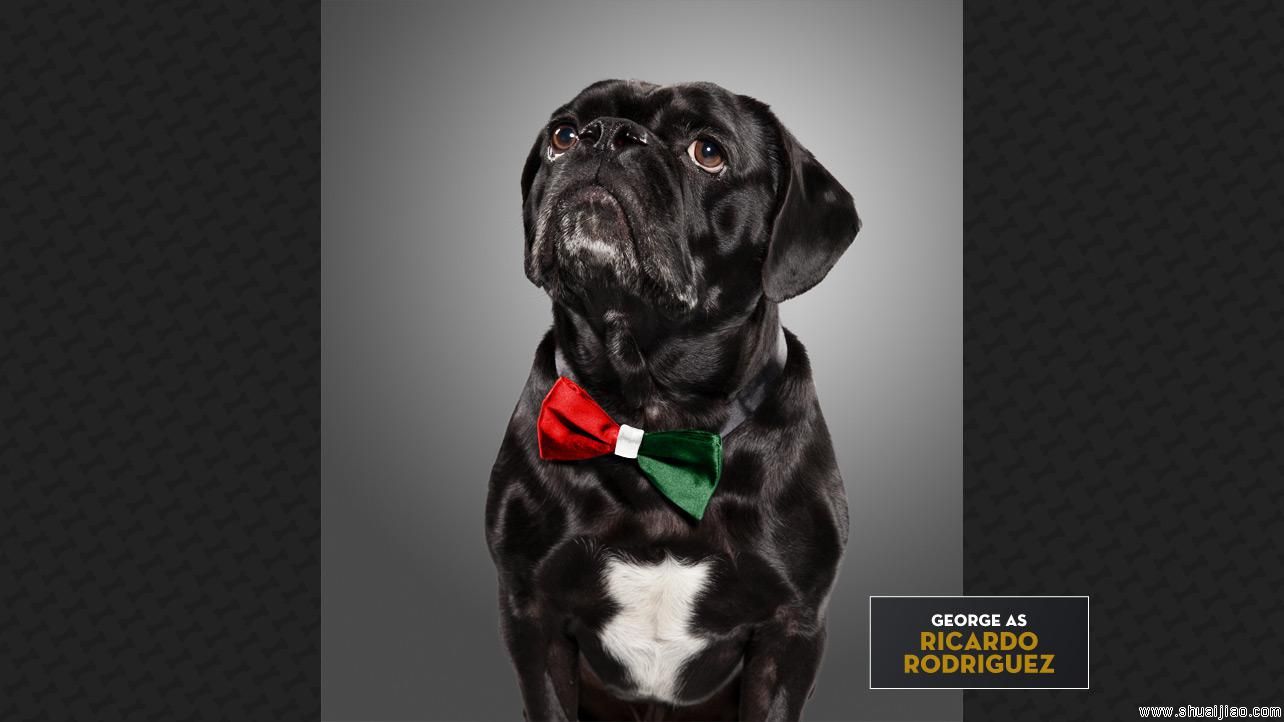 WWE超级巨星“宠物COS秀”