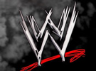 WWE在布鲁姆明顿巡演赛简报 