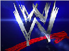 WWE 2013年第一季度财务报表