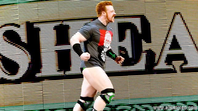 希莫斯 vs 罗迪学者《RAW 2013.06.18》