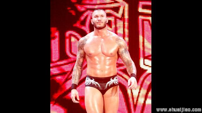 兰迪·奥顿 vs CM朋克《RAW 2013.07.09》