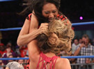 TNA《Destination X 2013》战报：虎失荆州
