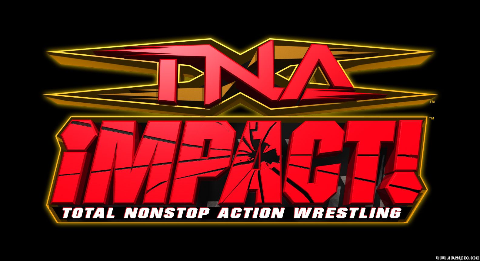 TNA罗诺克现场秀战报
