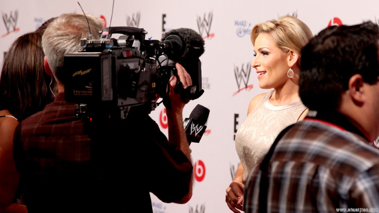 WWE巨星2013红毯亮相