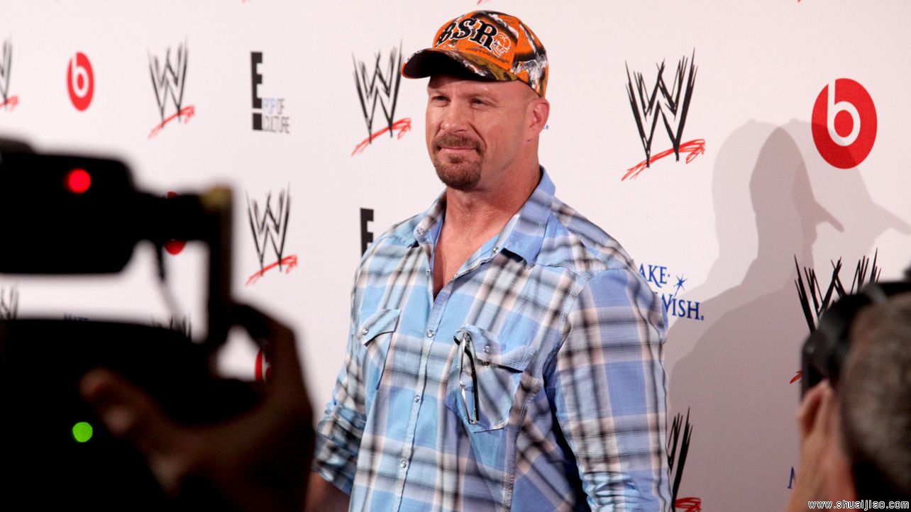 WWE巨星2013红毯亮相