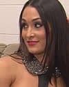 WWE Total Divas 5