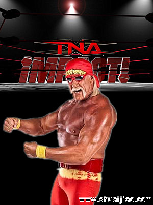霍根可能离开TNA