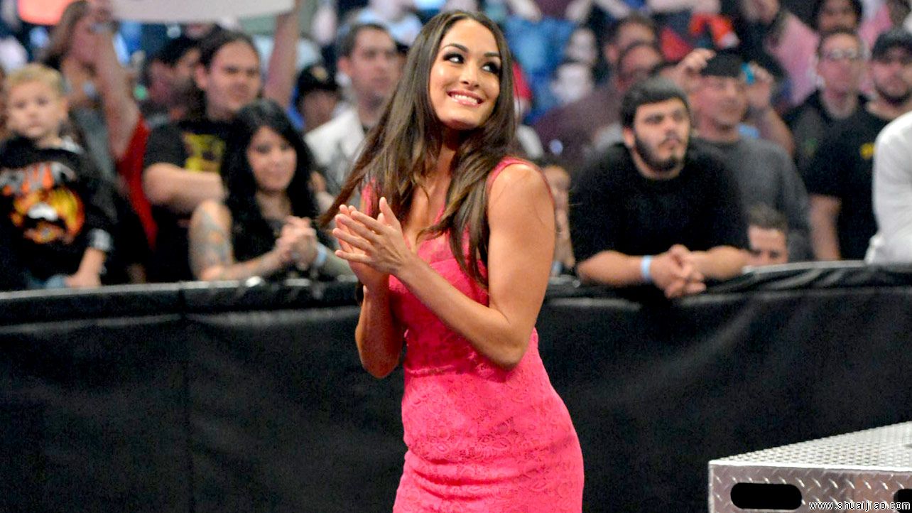 AJ·李 vs 布里·贝拉《战争之王2013》