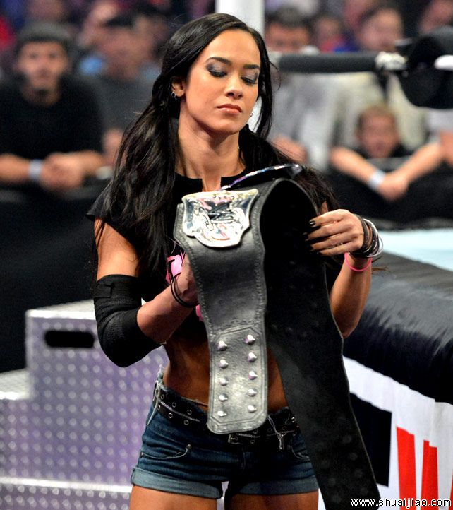 AJ·李 vs 布里·贝拉《战争之王2013》