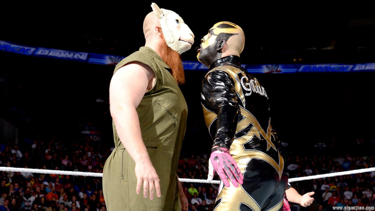戈尔德斯特&罗兹 vs 怀亚特家族《SD 2013.10.11》