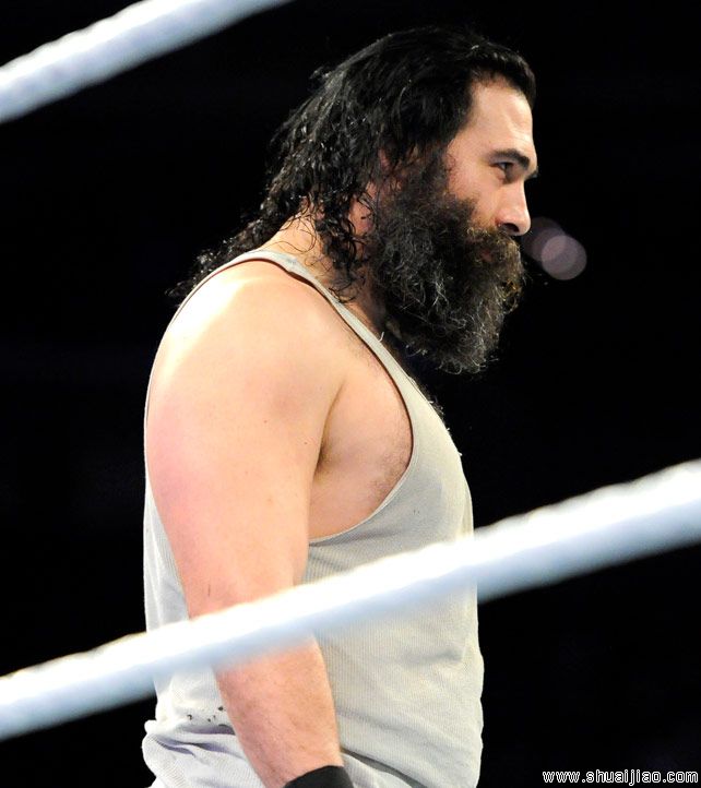 丹尼尔·布莱恩 vs 卢克·哈珀《SD 2013.11.08》