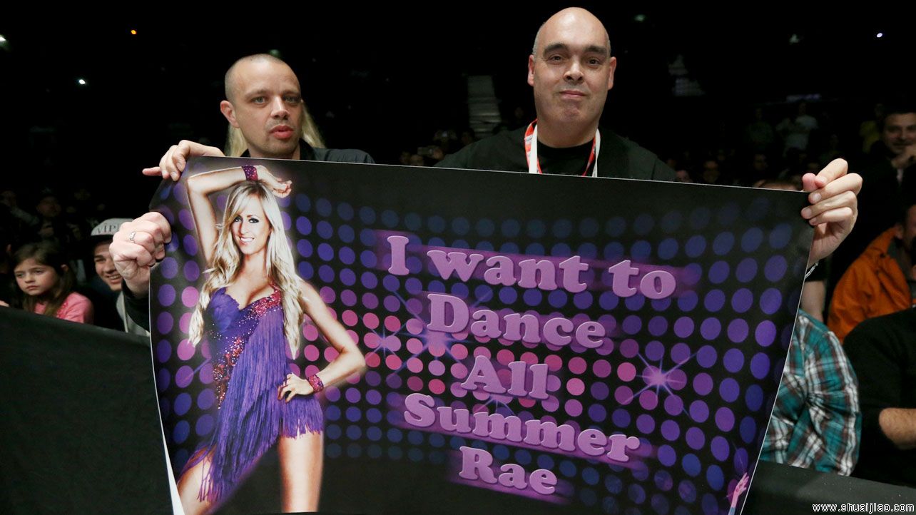 WWE RAW比利时布鲁塞尔巡演（2013年11月）