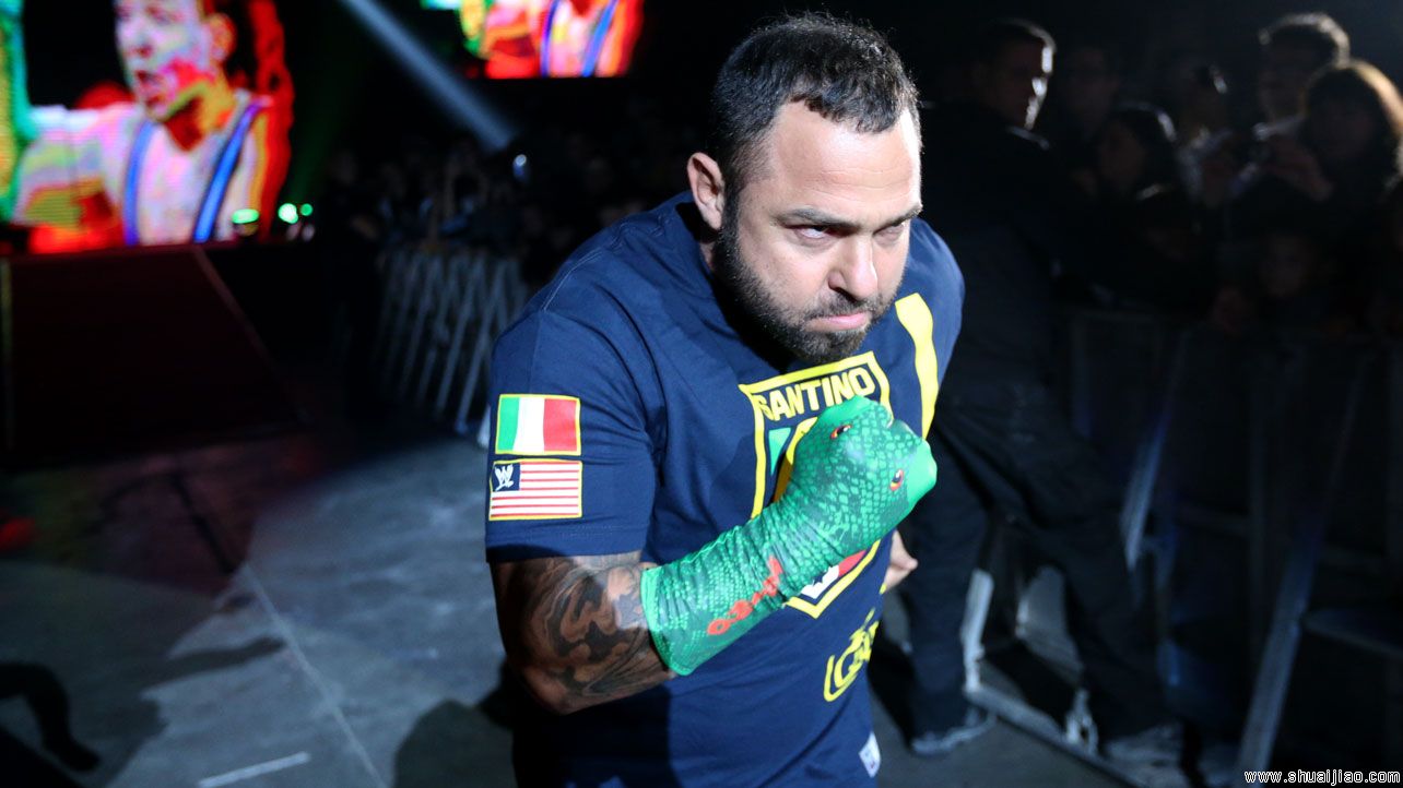 WWE RAW比利时布鲁塞尔巡演（2013年11月）