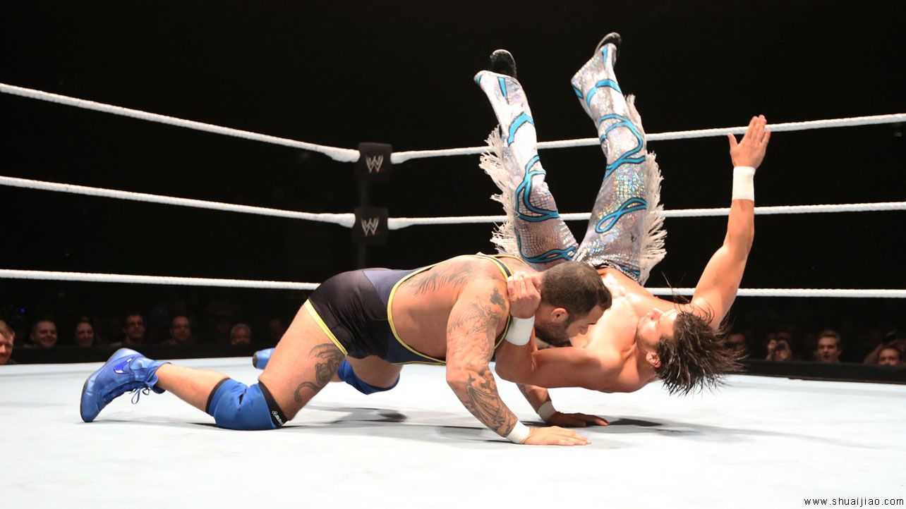 WWE RAW比利时布鲁塞尔巡演（2013年11月）