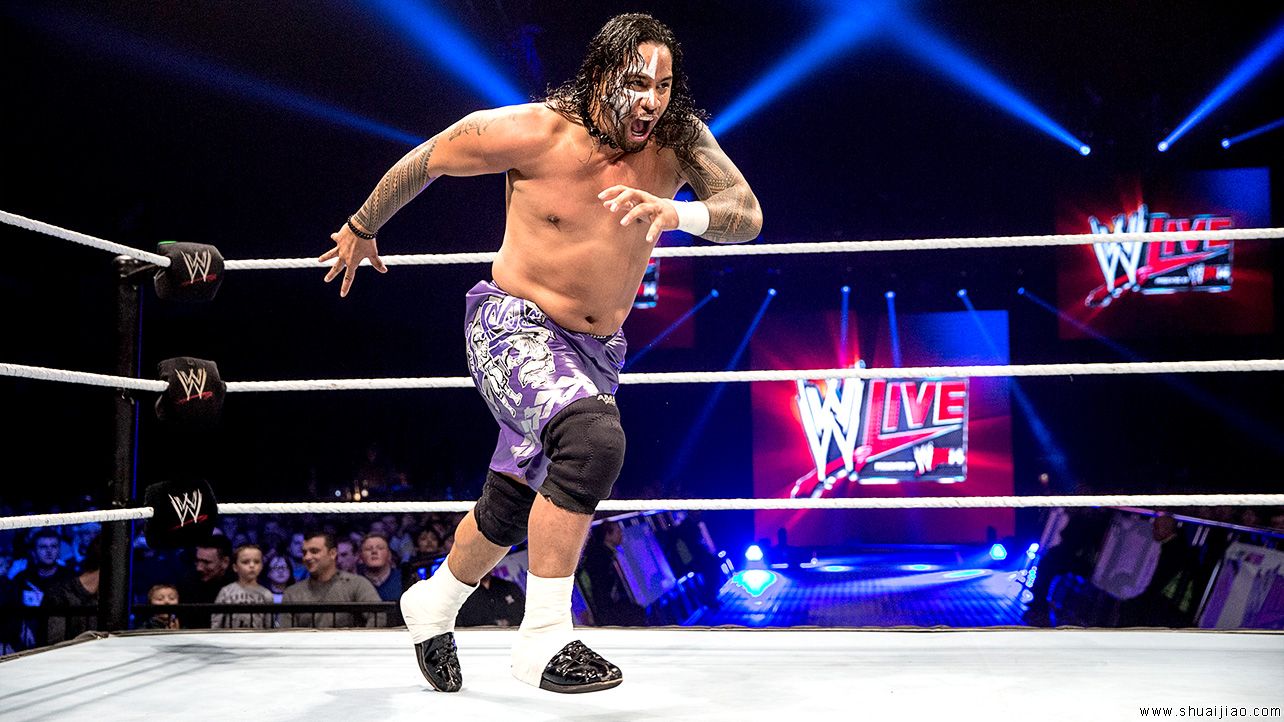 SmackDown苏格兰格拉斯哥巡演（2013年11月）