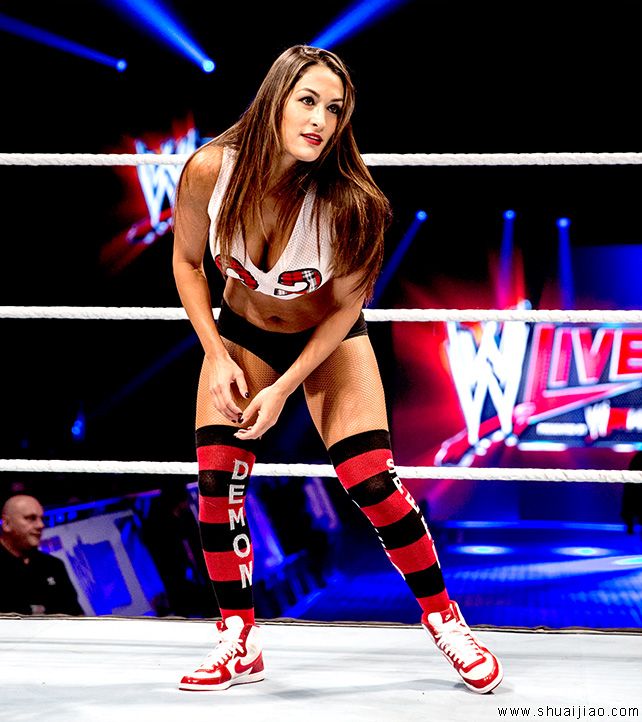 SmackDown苏格兰格拉斯哥巡演（2013年11月）