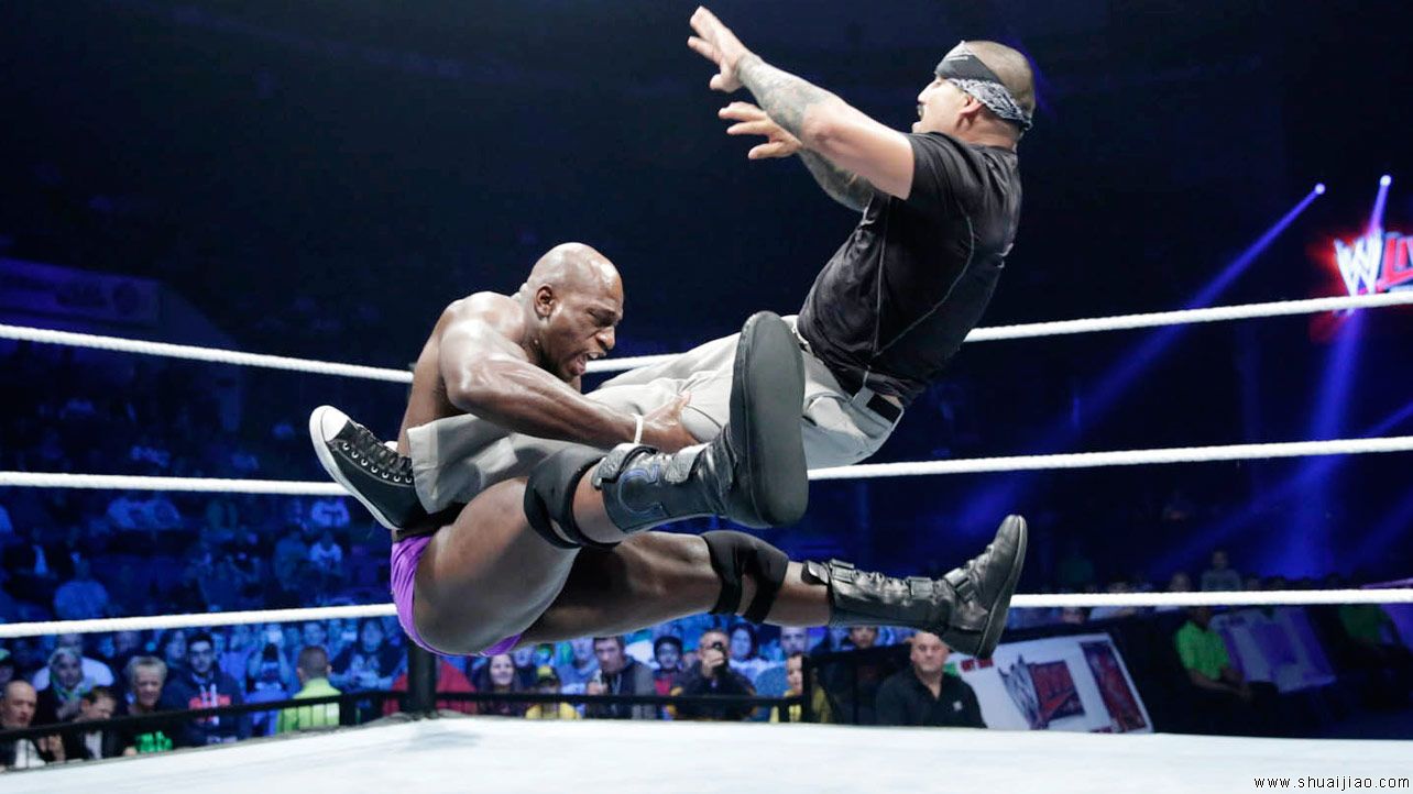 SmackDown苏格兰诺丁汉巡演（2013年11月）