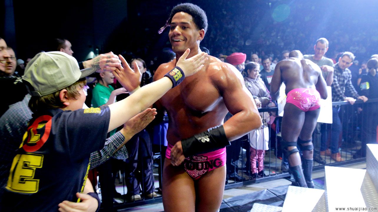 SmackDown英格兰利兹巡演（2013年11月）