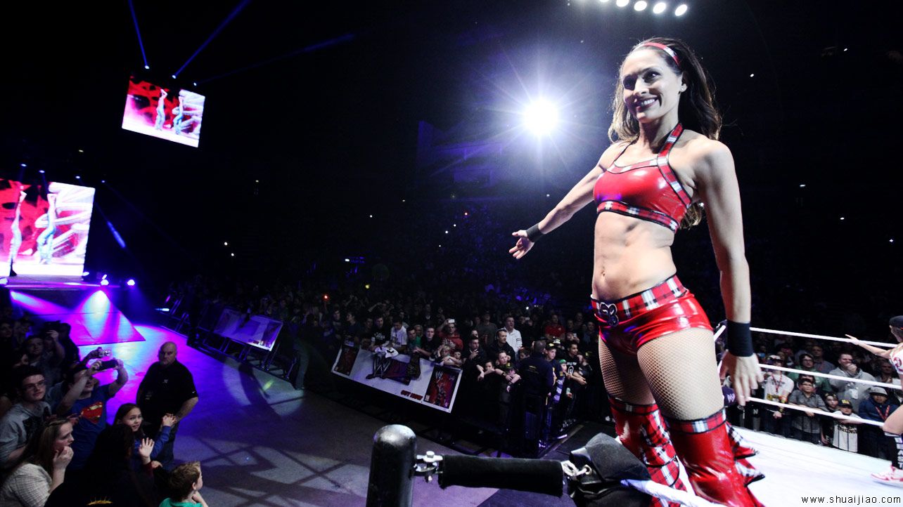 SmackDown英格兰伦敦巡演（2013年11月）