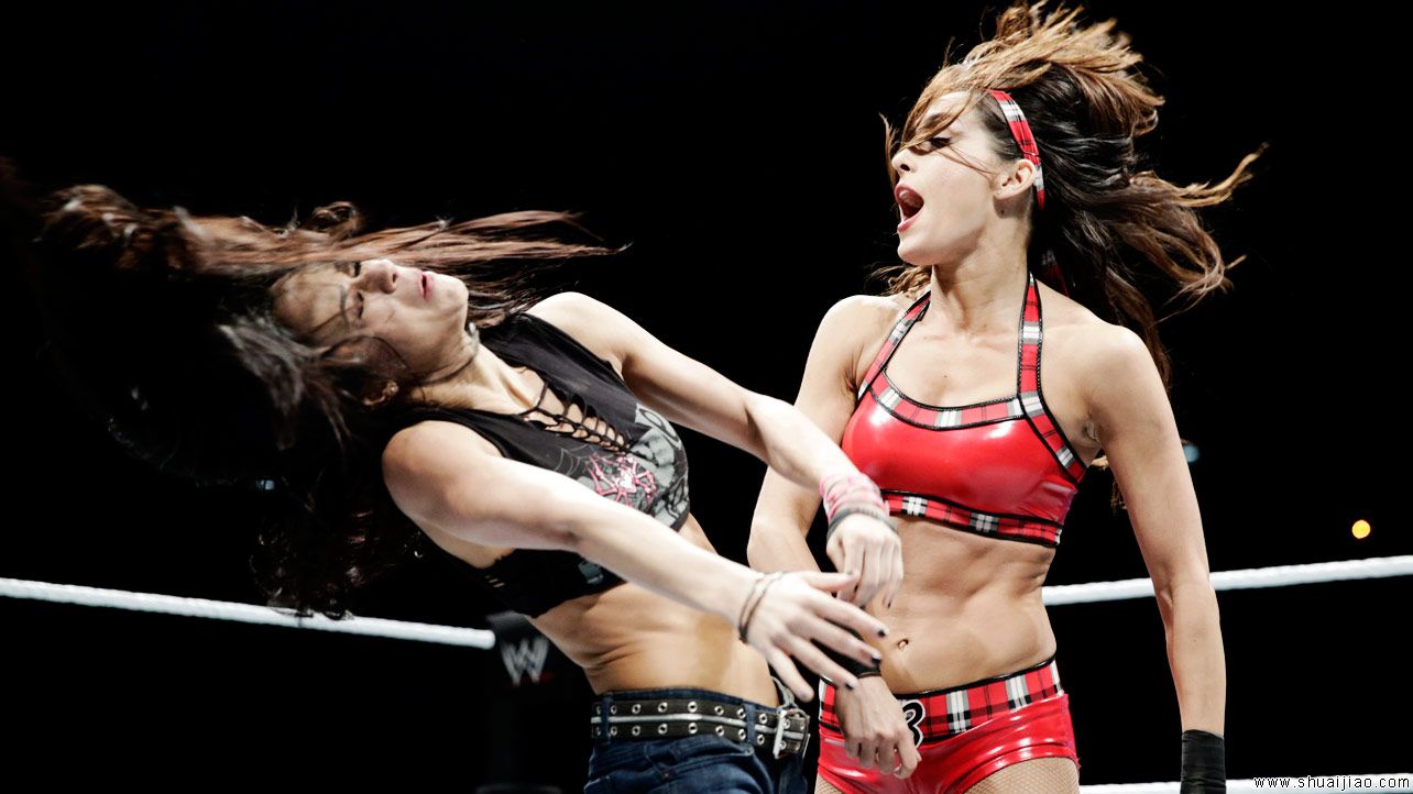 SmackDown英格兰伦敦巡演（2013年11月）