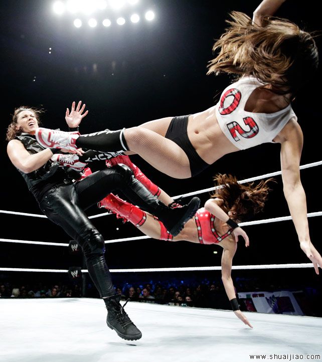 SmackDown英格兰伦敦巡演（2013年11月）